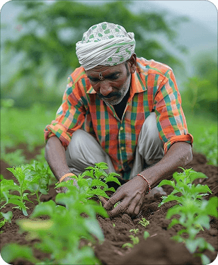 Farmers