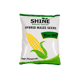 Seed