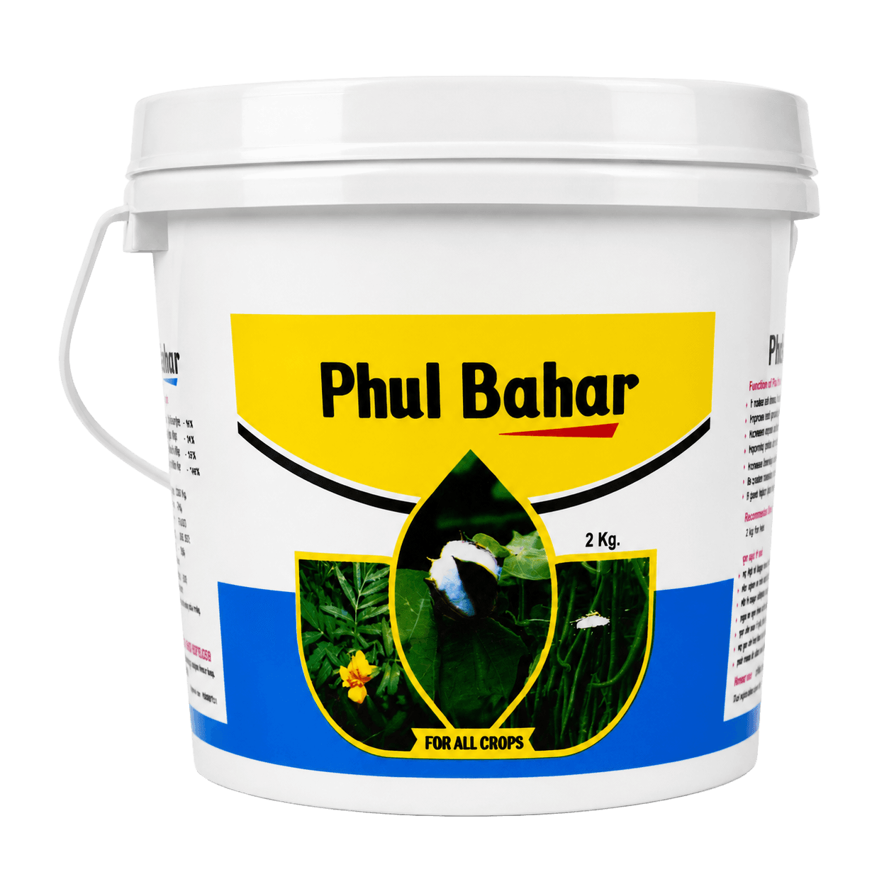 Phul Bahar